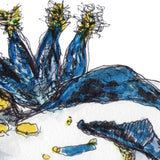 Nudibranch - Polly the Nudibranch