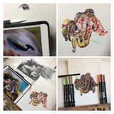 Cuttlefish - Mr Sparkles the Cuttlefish