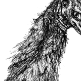 Emu - Shyly the Emu