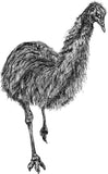Emu - Shyly the Emu