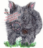 Wombat - Billie the Baby Wombat