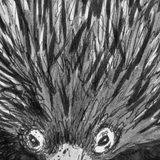 Echidna - Spike the Echidna
