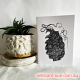 Shark - Gracie the Port Jackson Shark