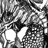 Leafy Sea Dragon - Steve the Leafy Sea Dragon