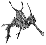 Weedy Seadragon - Wednesday the Weedy Seadragon
