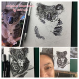 Koala - Stephanie the Koala