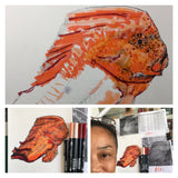 Red Indian Fish - Donald the Red Indian Fish