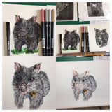 Wombat - Billie the Baby Wombat