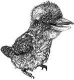Kookaburra - Mu Mu the Kookaburra