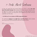 Seahorse -Cass the Seahorse