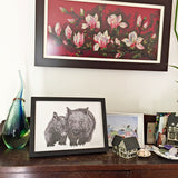 Wombat - David and Betty Wombat
