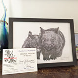 Wombat - David and Betty Wombat