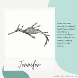 Weedy Seadragon - Jennifer the Weedy Seadragon