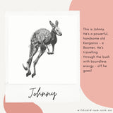 Kangaroo - Johnny the Kangaroo