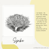 Echidna - Spike the Echidna
