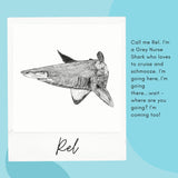 Shark - Rel the Grey Nurse Shark