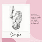 Seahorse -Cass the Seahorse