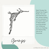 Weedy Seadragon - Grumps the Weedy Seadragon