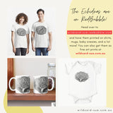 Echidna - Spike the Echidna
