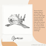 Shark - Gracie the Port Jackson Shark