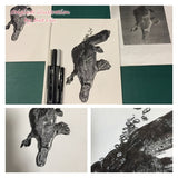 Platypus - Annie the Platypus