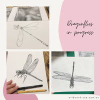 Dragonfly - Eve the Dragonfly