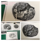 Echidna - Elizabeth the Echidna