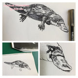 Platypus - Fernando the Platypus