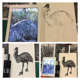 Emu - Fluffy the Emu