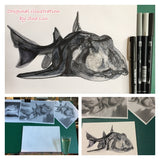 Shark - Jackson the Port Jackson Shark