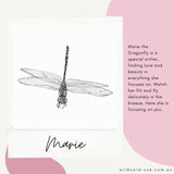 Dragonfly - Marie the Dragonfly
