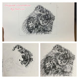Wombat - Willie the Wombat