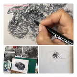 Octopus - Augustus the Octopus