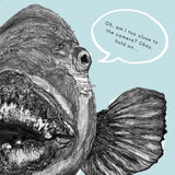 Blue Groper - Meg the Blue Groper