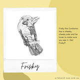 Cockatoo - Frisky the Cockatoo