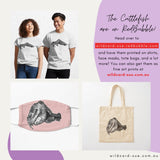 Cuttlefish - Cuddles the Cuttlefish