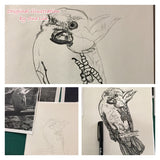 Cockatoo - Frisky the Cockatoo