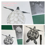 Turtle - Jacki the Turtle