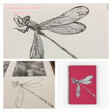 Dragonfly - Lynette the Dragonfly
