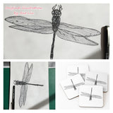Dragonfly - Marie the Dragonfly