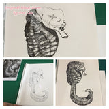 Seahorse - Martin the Seahorse