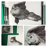 Red Indian Fish - Paulina the Red Indian Fish