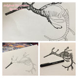 Weedy Seadragon - Pee Jay the Weedy Seadragon