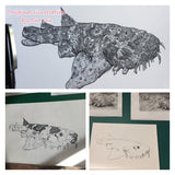 Shark - Penelope the Wobbygong Shark