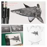 Shark - Rel the Grey Nurse Shark