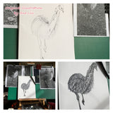 Emu - Shyly the Emu