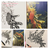 Leafy Sea Dragon - Steve the Leafy Sea Dragon