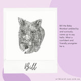 Wombat - Bill the Baby Wombat