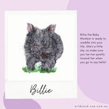 Wombat - Billie the Baby Wombat