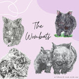 Wombat - David and Betty Wombat